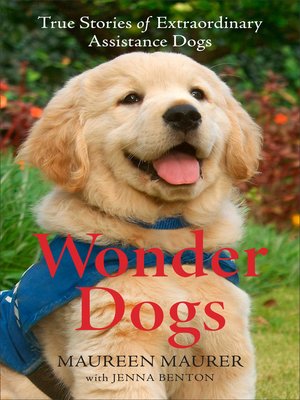 cover image of Wonder Dogs